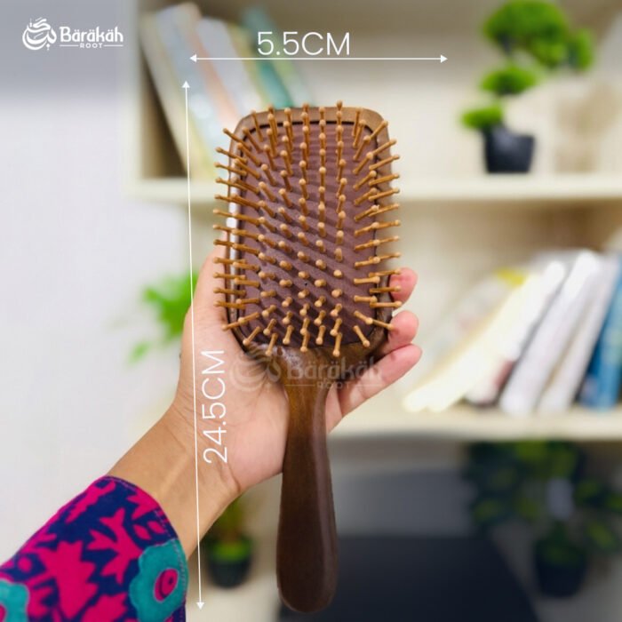 Premium Wooden Paddle Hair Brush - Air-Cushion Scalp Massage Brush